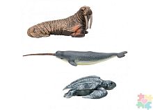 Паремо Фигурки игрушки серии "Мир морских животных": Нарвал, кожистая черепаха, морж  (набор из 3 фигурок)					